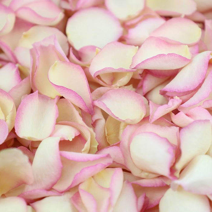 1 Litre Large Petals (light scatter 5 tables)