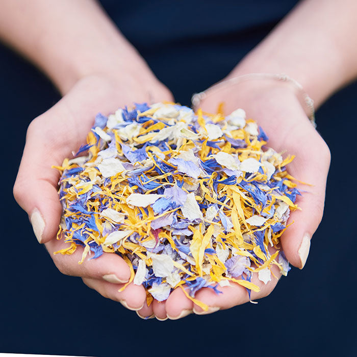 Forget Me Knot Confetti