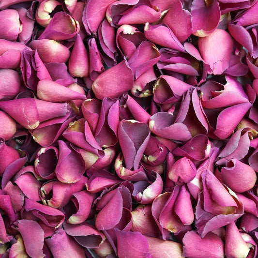 Cerise Rose Petals
