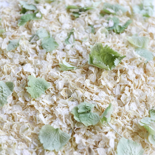 Enchanted Woods Confetti