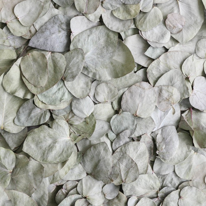 1 Litre Large Petals (light scatter 5 tables)
