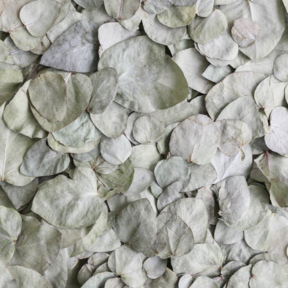 1 Litre Large Petals (light scatter 5 tables)