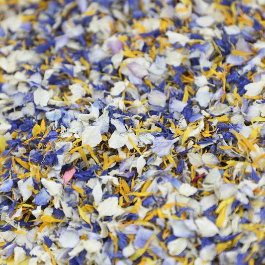 Forget Me Knot Confetti