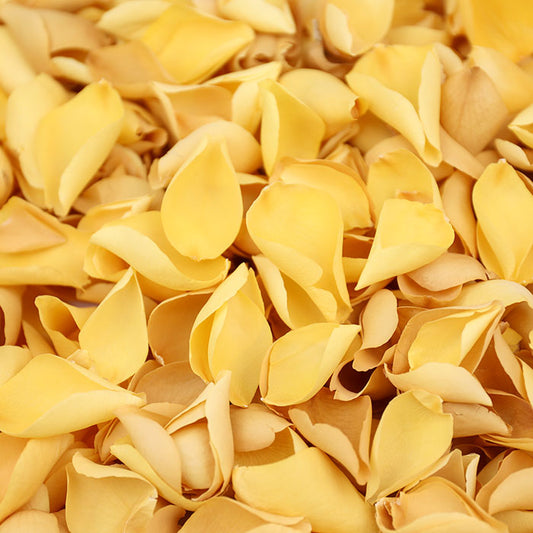 Golden Slumber Rose Petals