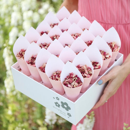 2 Shropshire Boxes (50 Cones & Confetti)