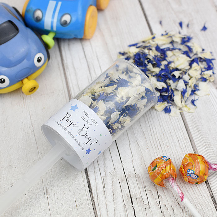 Be My Page Boy Confetti Pop