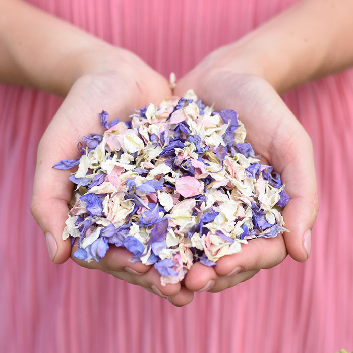 Wonderland Confetti